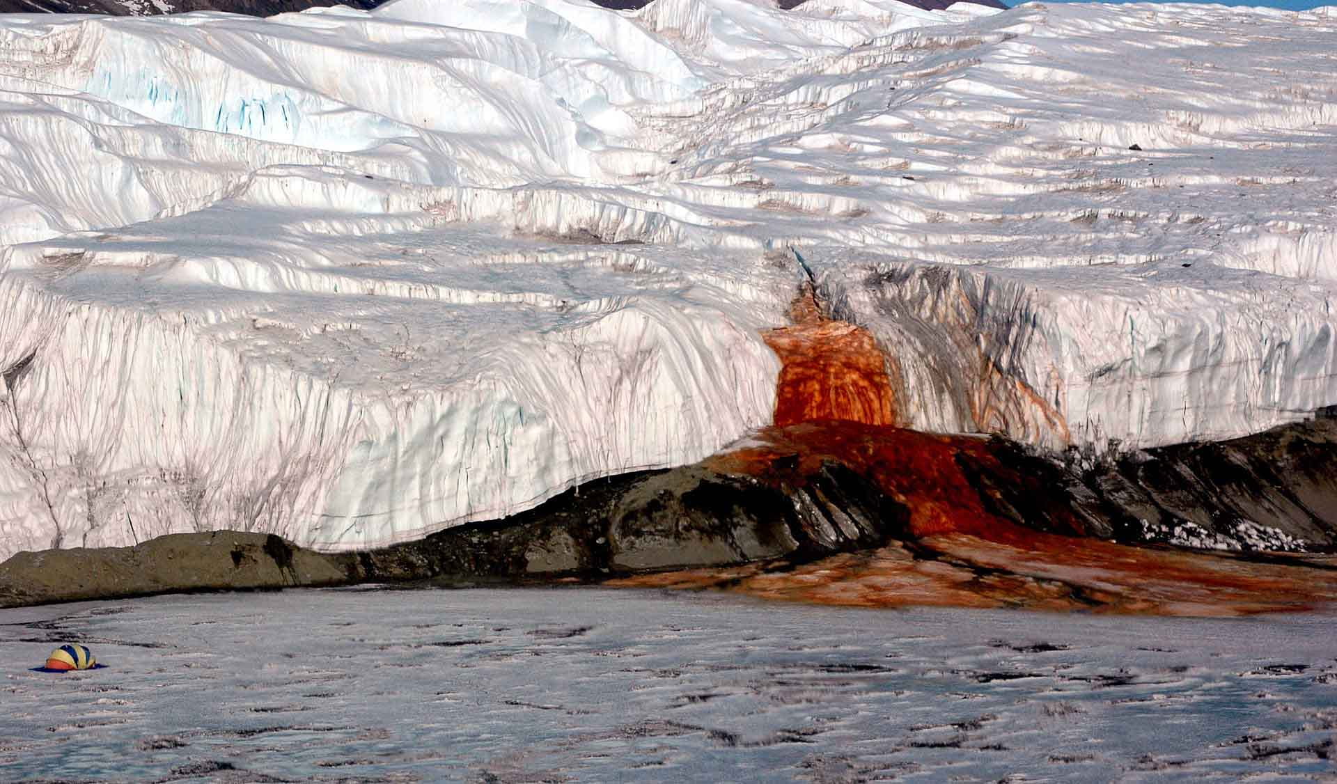 Study reveals reason behind Antarctica's mysterious crimson fall