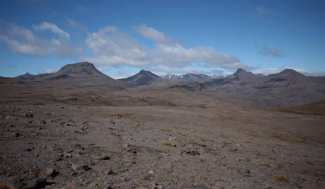 Spiders have been around Antarctica for 9 million years