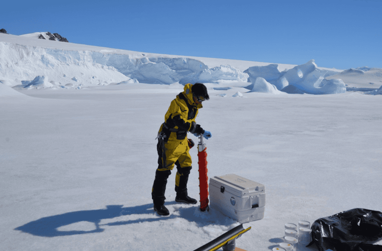 Study in Antarctica may shed light on how micro-algae help regulate the climate