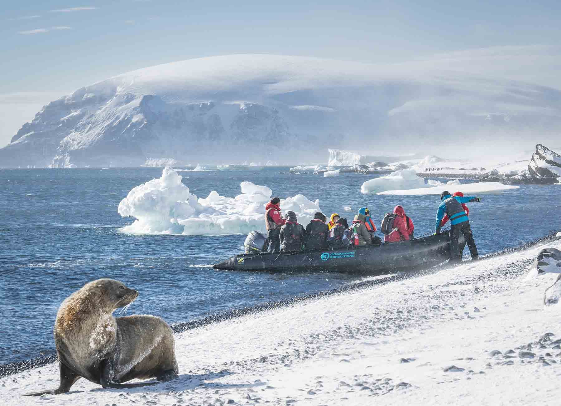 Brown Bluff | Antarctic Peninsula | Zodiac landing